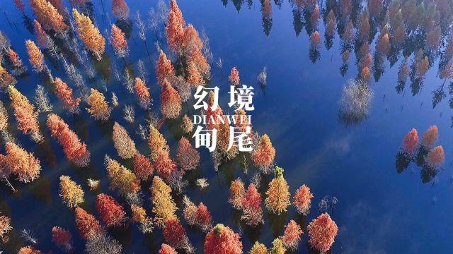高端访谈丨专访瑙鲁外长安格明